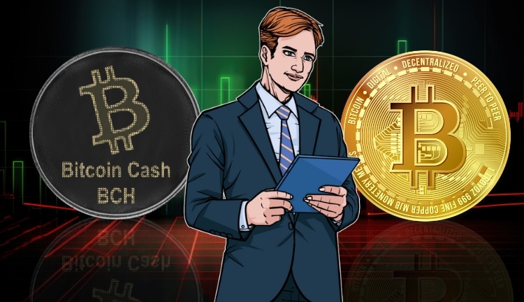 Bitcoin Cash and Bitcoin Understanding the key differences